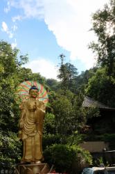 每日恭誦寶篋印陀羅尼經/佛說阿彌陀經/普賢行願品偈暨網路同步連線共修